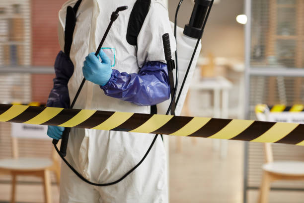 Professional Hoarding Cleanup technician working in Angels Camp, CA